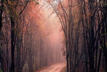 比赛闪光：球员们的精彩表现令人拍案叫绝！