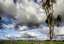 比赛闪光：球员们的精彩表现令人拍案叫绝！